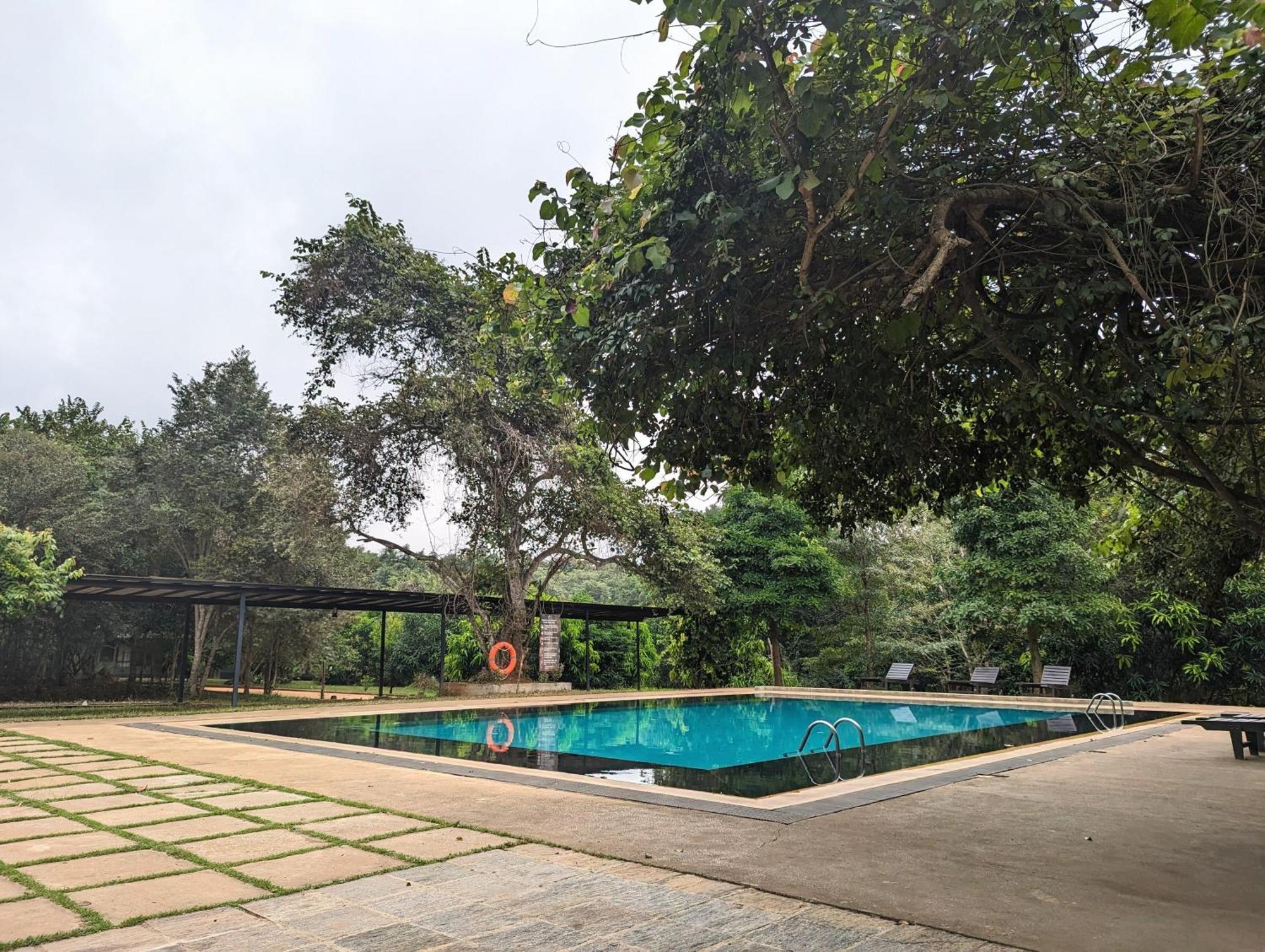 Pinthaliya Resort Σιγκιρίγια Εξωτερικό φωτογραφία